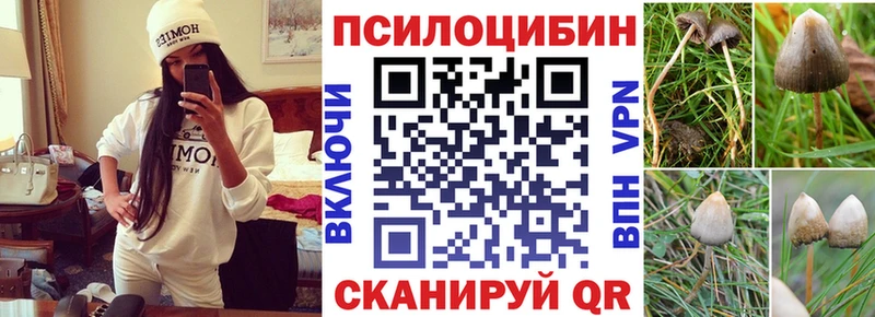 Псилоцибиновые грибы Cubensis  кракен ТОР  Куровское 